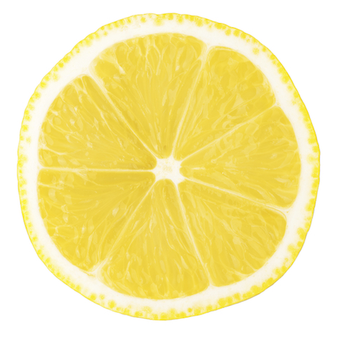 Lemontree Enterprise Solutions