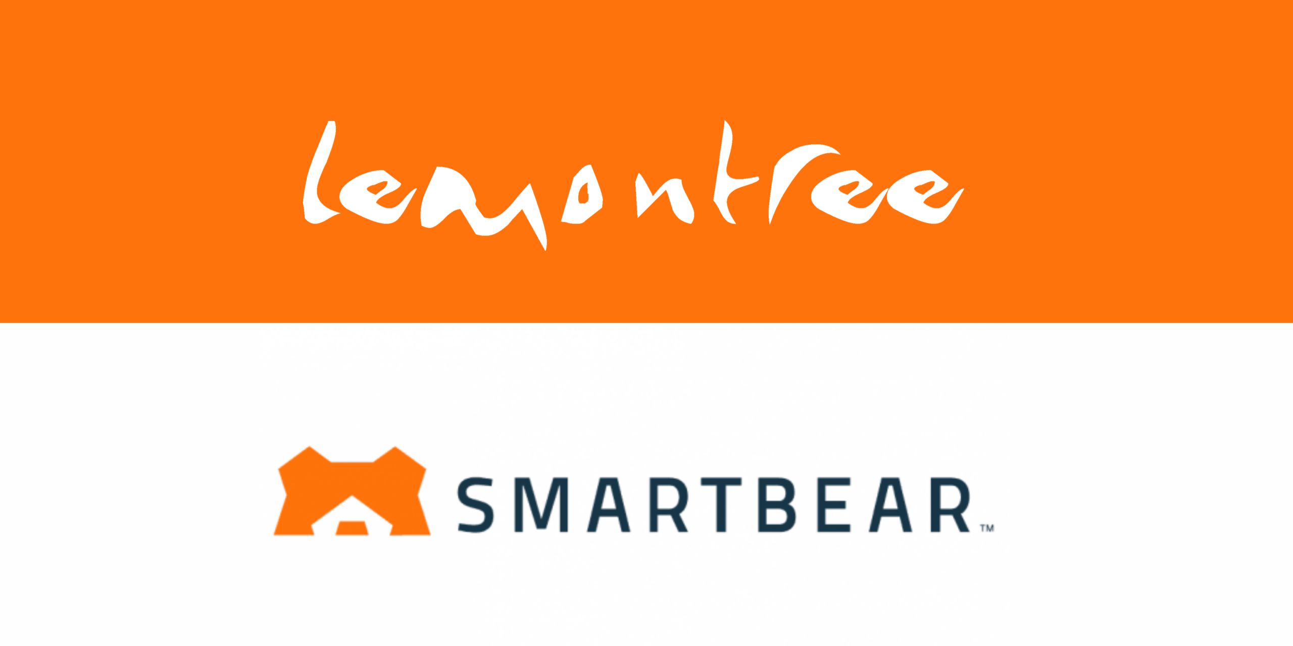 SmartBear partner
