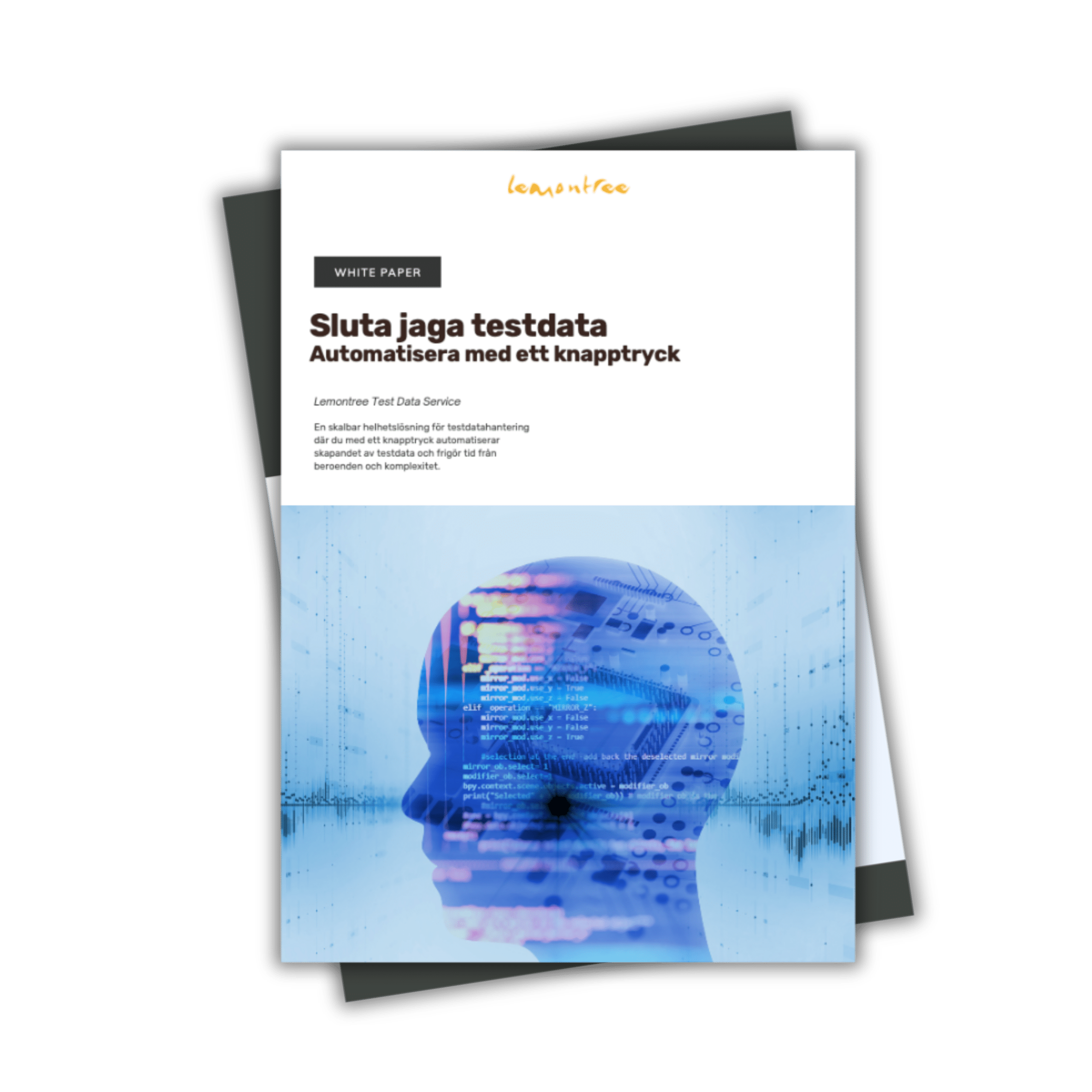 Business Intelligence Testing